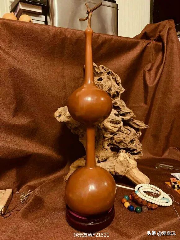 一把葫芦卖到上千上万，连种子都“千金难求”