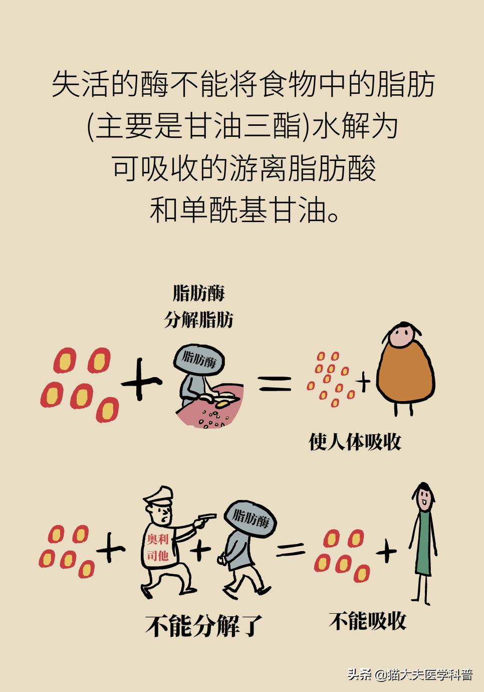 国家批准的减重药,国家唯一批准减肥的药