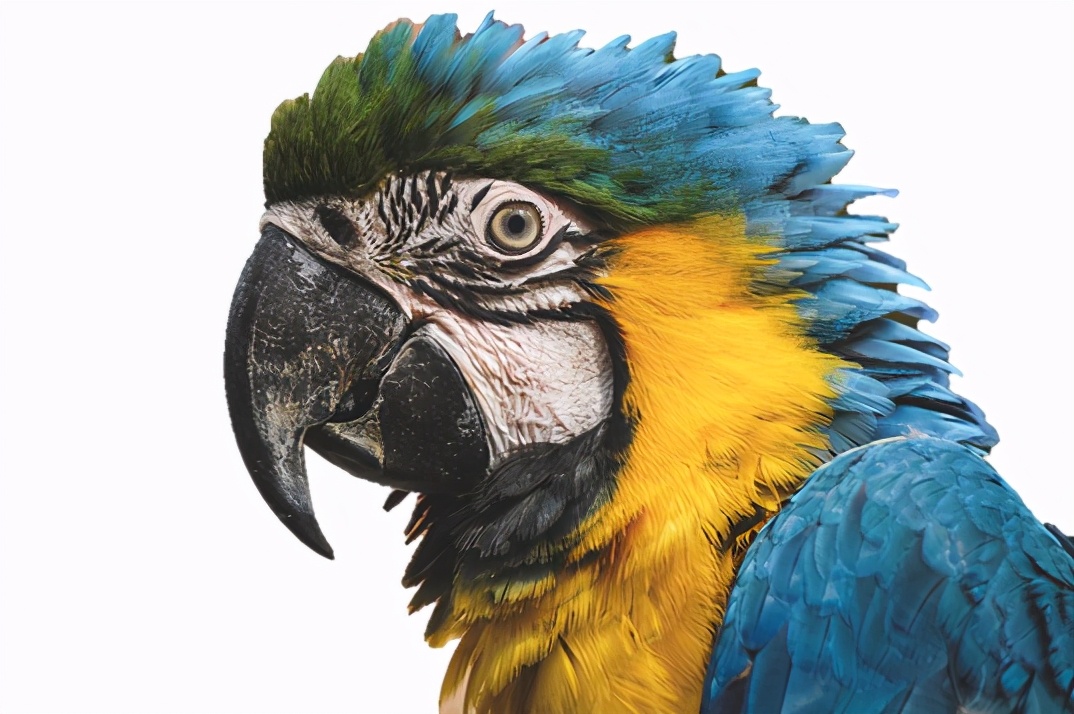 pptps抠图,ppt抠图100个常用技巧