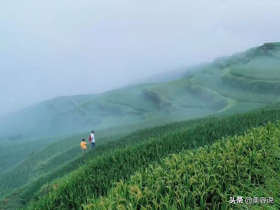 去美容院做什么项目最好,去美容院做脸部需要做哪些