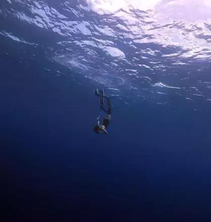 帕劳自由潜水完整视频,帕劳自由潜水玩法