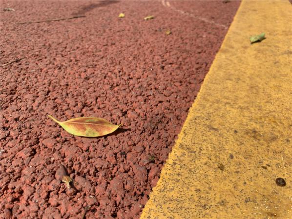 魅族16s的全面屏操作,魅族16s体验flyme9