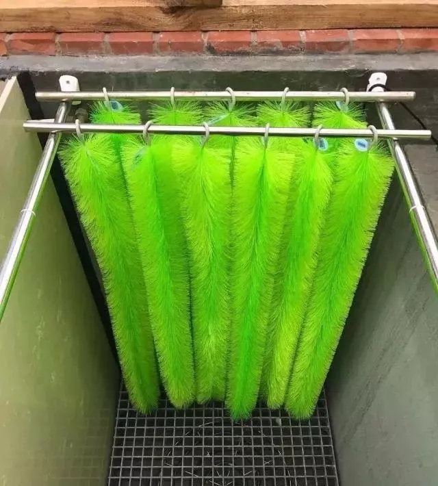 小院锦鲤鱼池建造全过程,自己建造庭院锦鲤鱼池