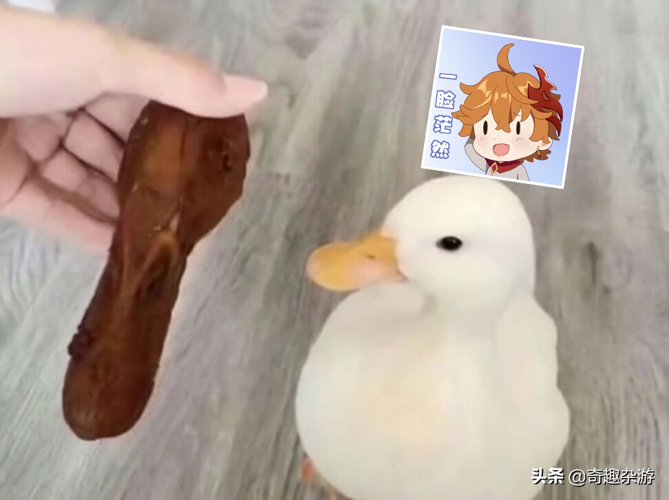 原神：公子变身“达达利鸭”，被玩家各种恶搞，一大波表情包来袭