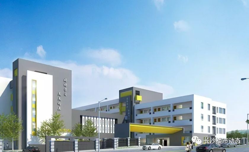 岳麓区规划中小学,岳麓区打造分校