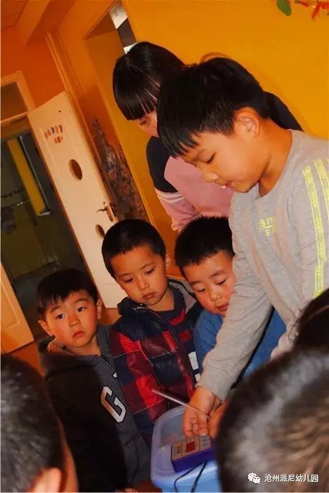 生命教育孵蛋,生命教育课程孵小鸡