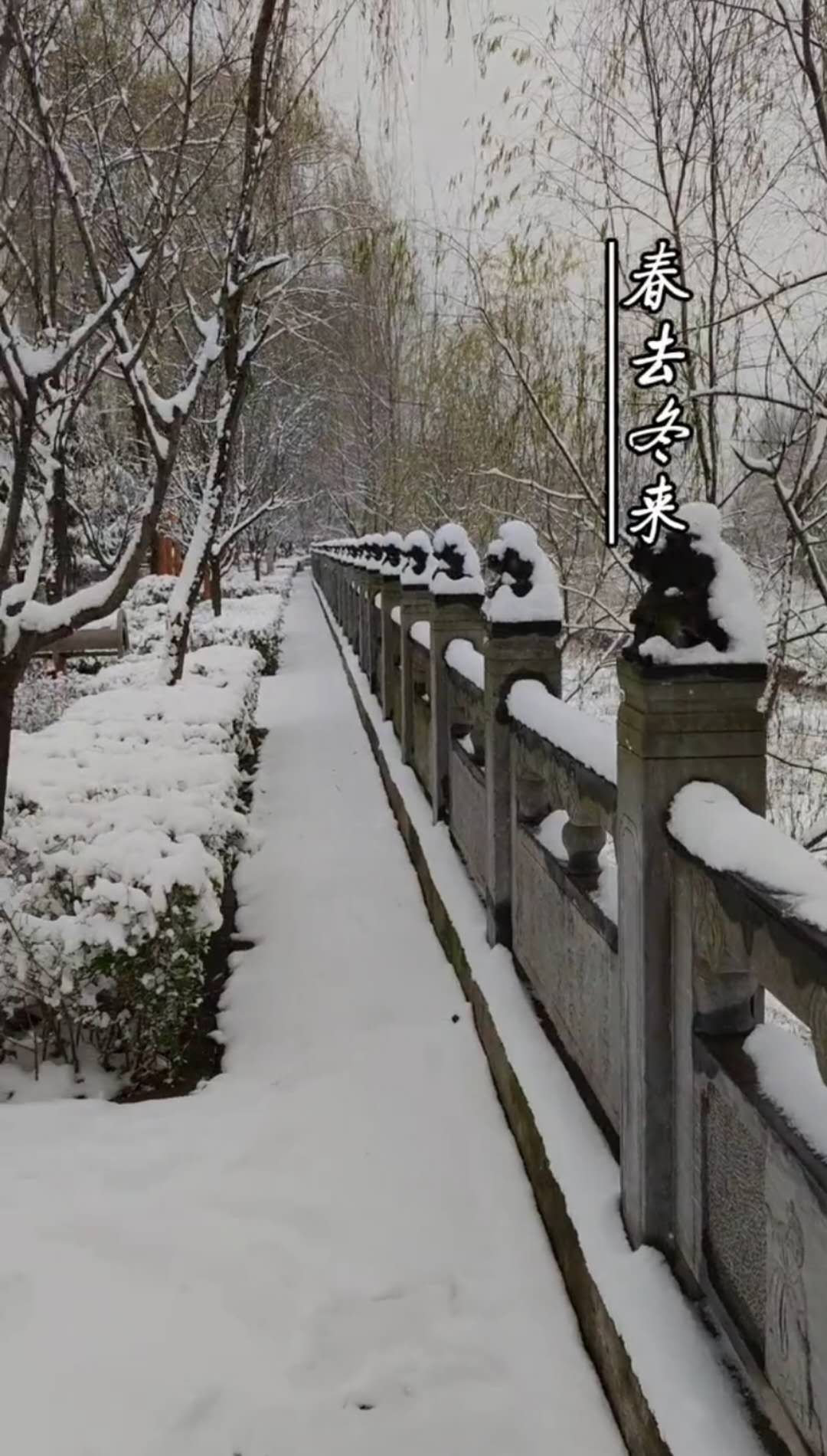 如果在洛南遇见你