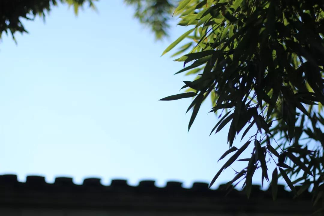 鑻忓窞鍥灄vs鏉窞瑗挎箹,鏉窞瑗挎箹vs鑻忓窞鍥灄