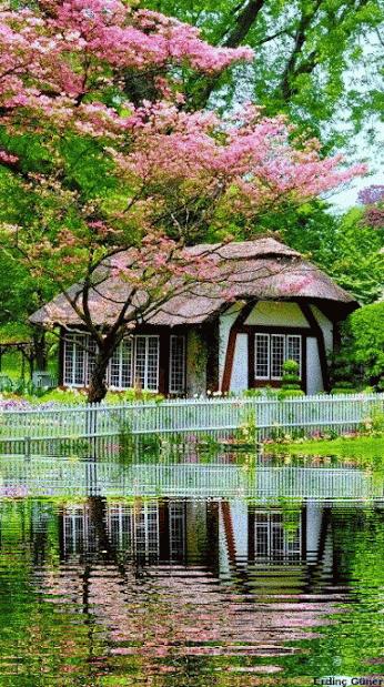 水中花郁可唯简谱动态谱,动态水中花歌词壁纸