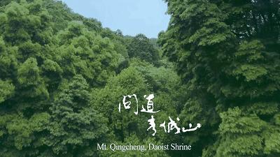 青城山下轻奢宾馆,青城山下的酒店多少钱一晚