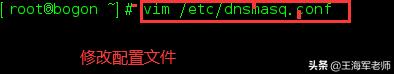 centos8搭建dns服务器详细教程,centos7dns服务器搭建