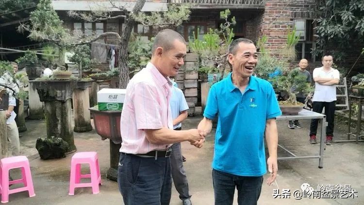 广东的盆景有哪些,适合广东玩的盆景