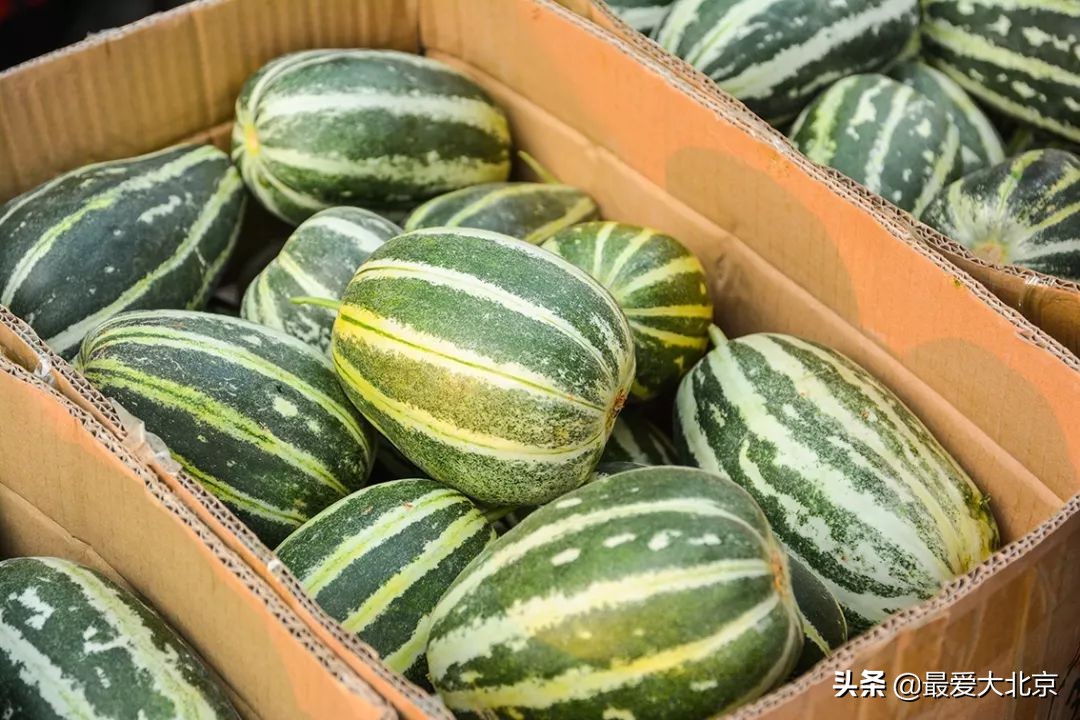 带你逛北京最大早市,北京正宗早市推荐