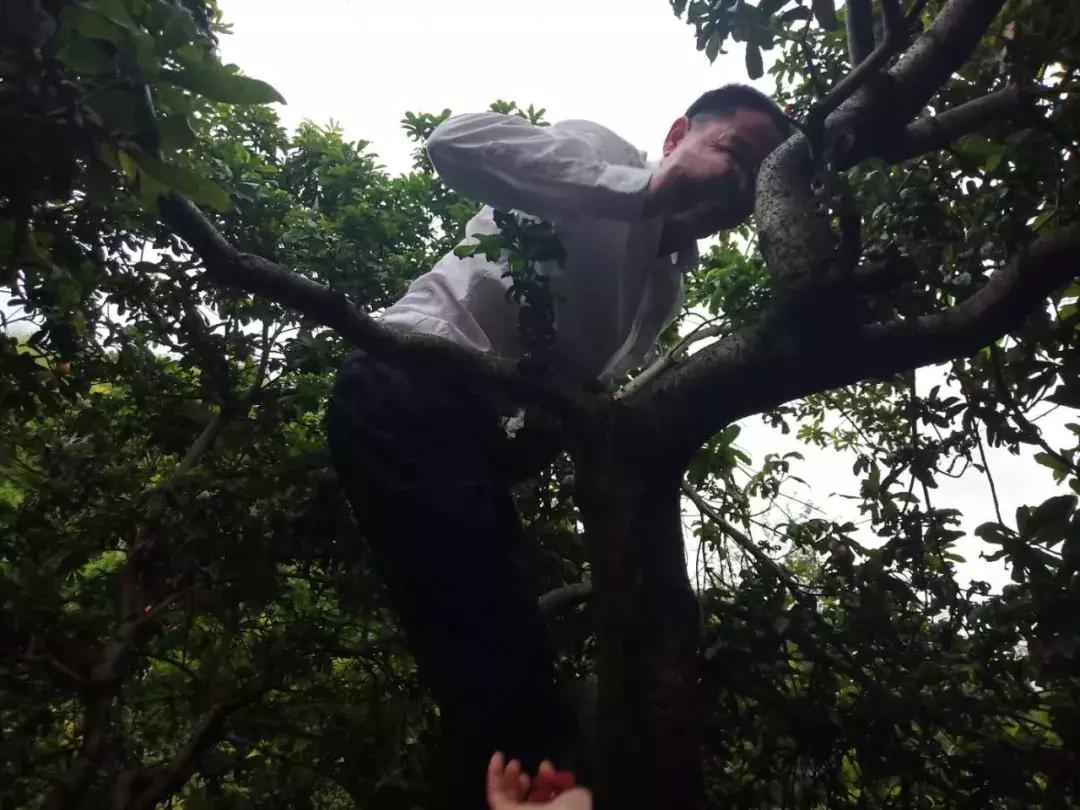 2022年寿仙谷杯省运会,寿仙谷比赛