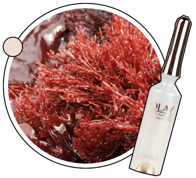 脸上的斑可以通过医美去掉吗,脸上长斑了能用激光去除吗