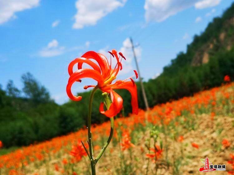 鍔涢噺2020,鍔涢噺2022