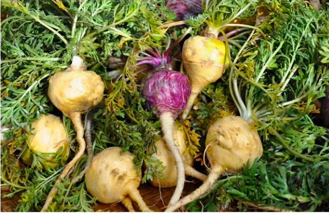 被炒天价的食品,被炒到天价的菜