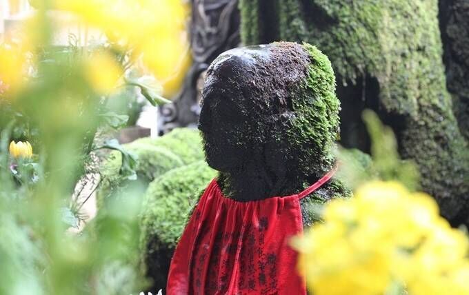 约上闺蜜一起去看看,大阪到奈良小鹿公园