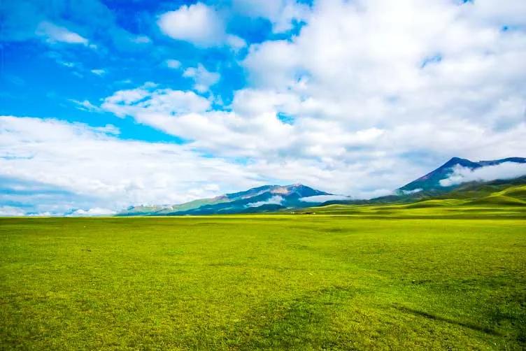 适合夏天去旅游的自驾路线,适合夏季的自驾游路线推荐