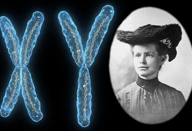 永远无法超越的十大科学家,那些被质疑过的科学家