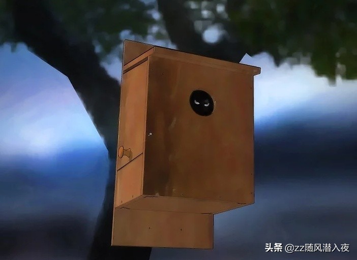 声波驱逐老鼠好用吗,如何以自然方法驱逐老鼠