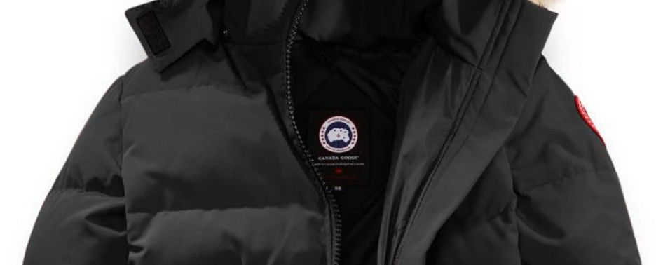 十件大鹅九件假,十件大鹅九件假四招教你辨真假