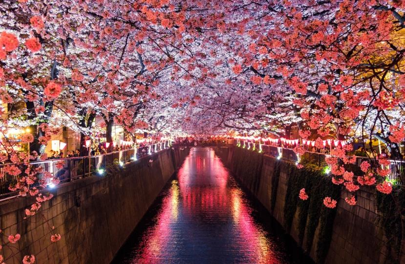 你的文案够色吗？一起看看全世界的诗意色彩名称