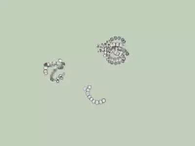 水产养殖业藻类的生命周期,水产养殖常见藻类植物