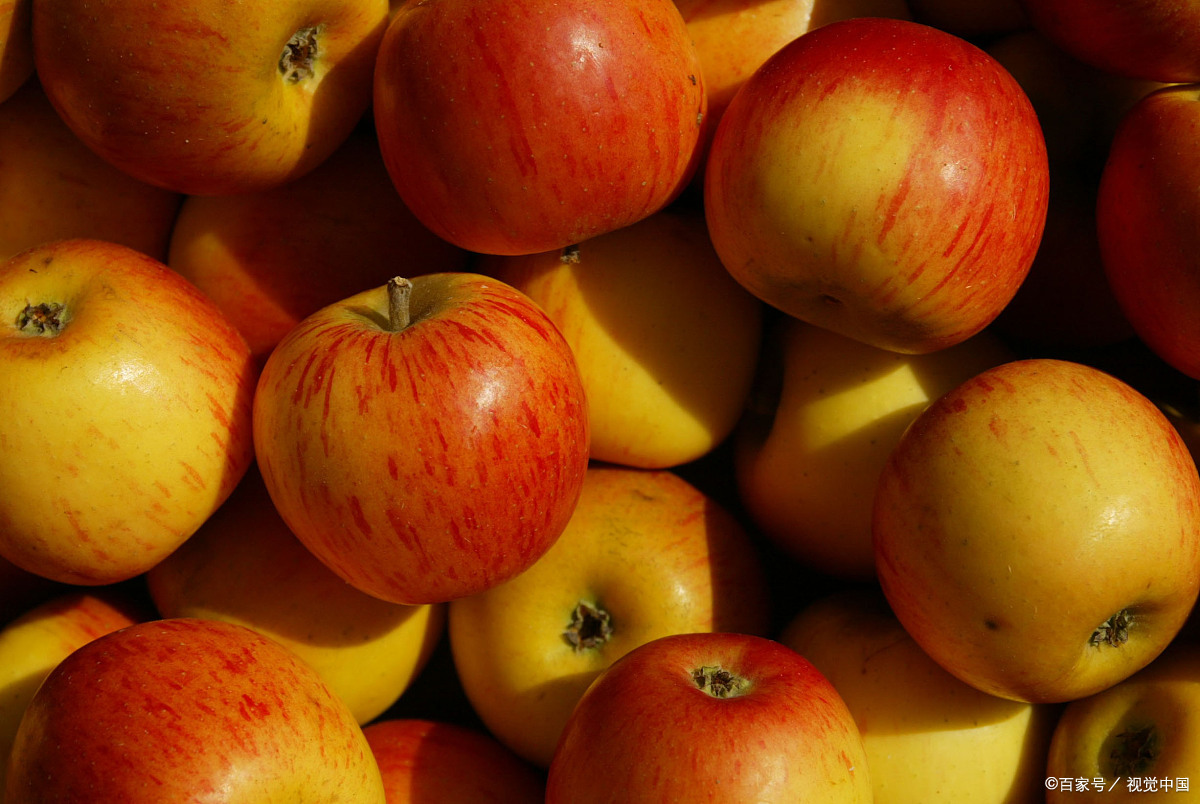 果农苹果销售渠道,2020年果农苹果哪里的便宜