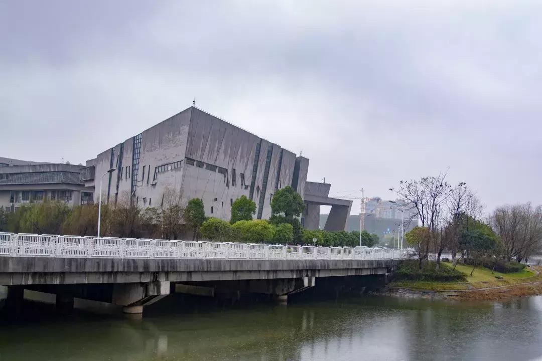 中南路事件,关于中南的那些事短剧