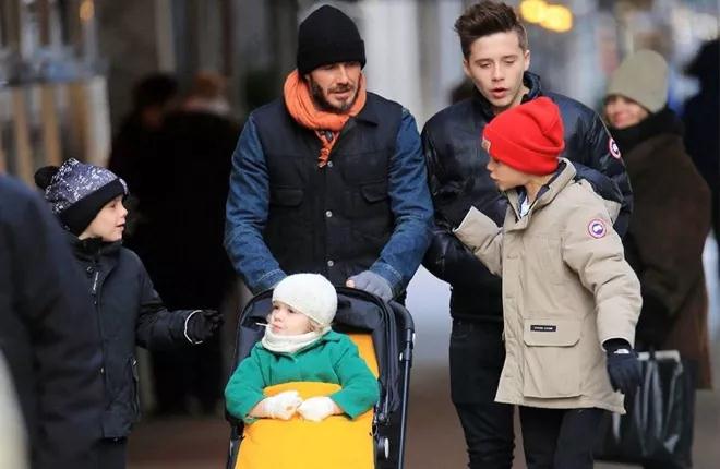 天一凉就穿棉袄,大鹅羽绒服和加拿大鹅羽绒服区别