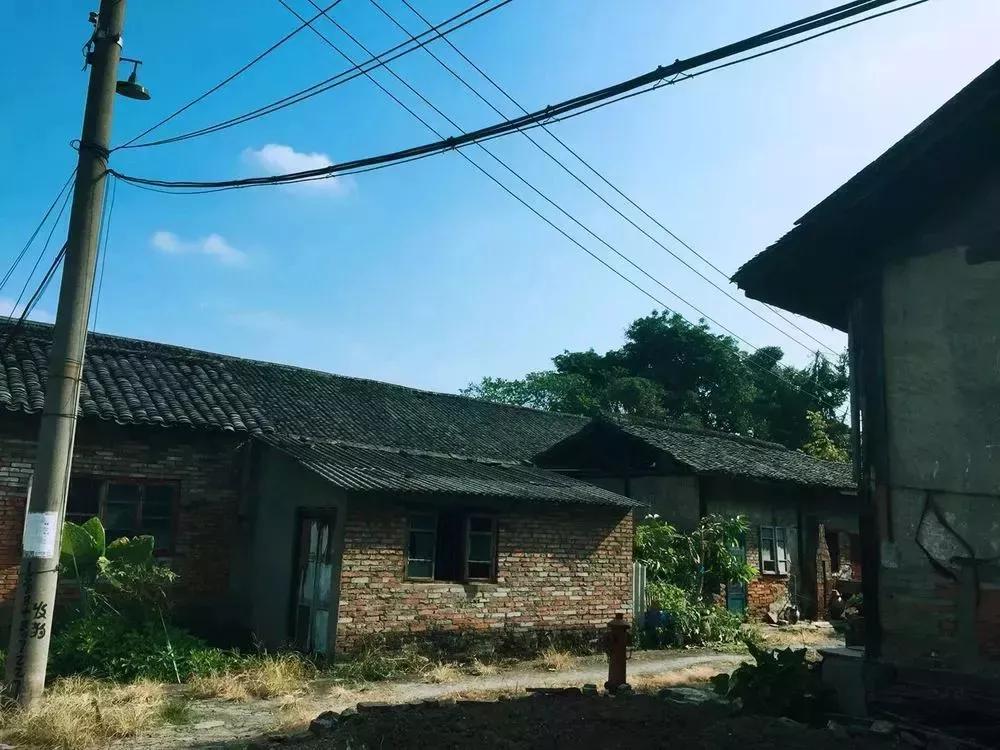 四川内江制药厂现状,内江制药厂现在干什么