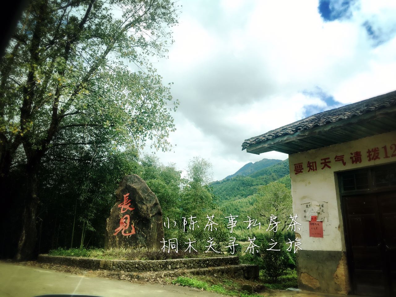 金骏眉红茶什么颜色最好,金骏眉红茶特色有哪些