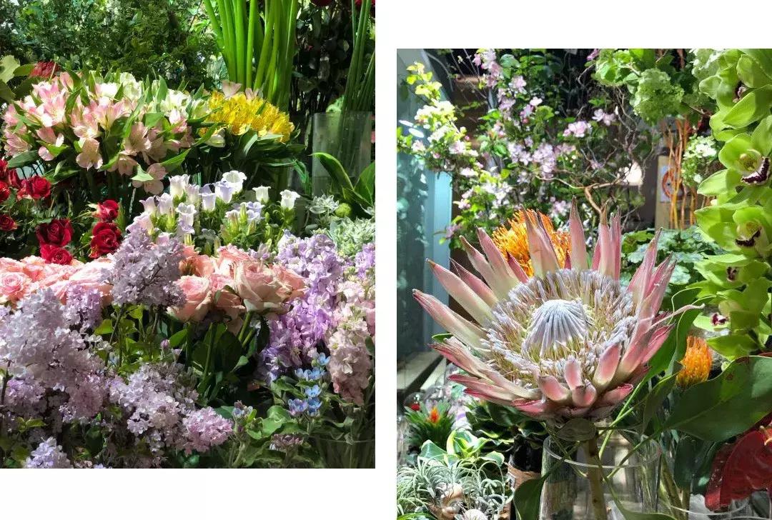 在花园里和鲜花为伴,在花店与鲜花为伴