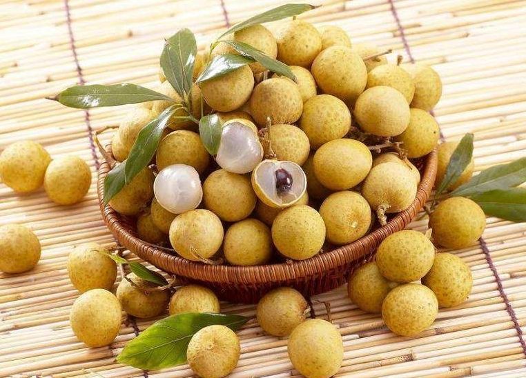 中药龙眼肉的功效与主治,龙眼肉的主治功能