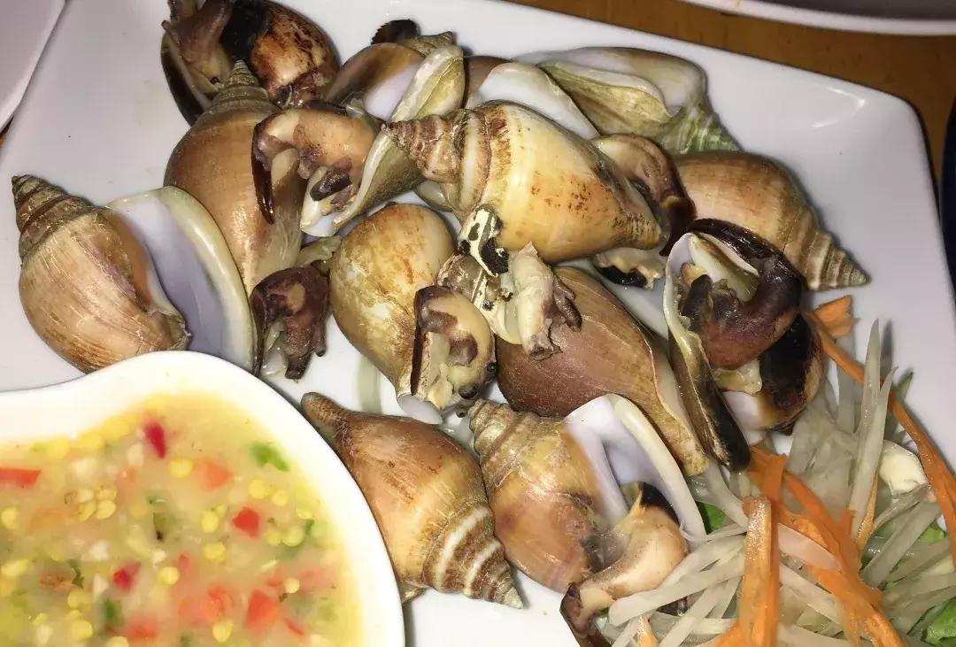 泰国皮皮岛一日游 (泰国皮皮岛旅游团)