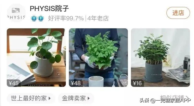 春天花会开|这20家植物淘宝店，植物杀手看了也想买！