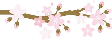 最适合赏花的花,视觉盛宴五种赏花名花供您选择