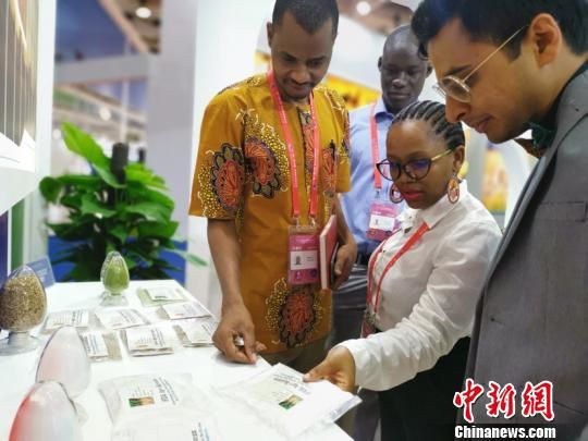 湖南对外开放新格局,国外媒体谈中国创新