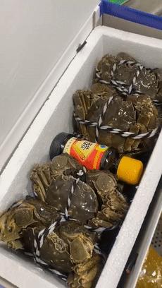 CBD里的Chloe、AmandaandKatharine,都在㳽到脑壳买农副产品