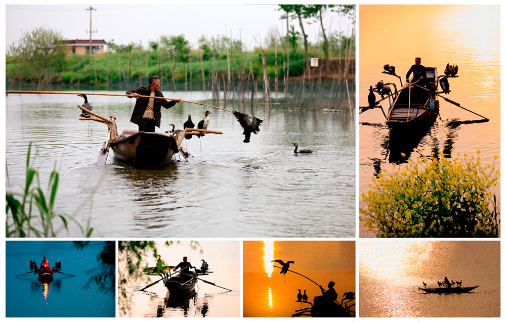 摄影人像怎么自己拍,如何拍摄一幅照片步骤图