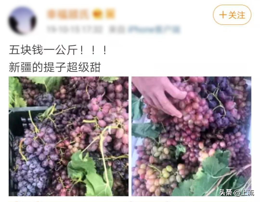 *疆新**到底为什么这么大大大大大？