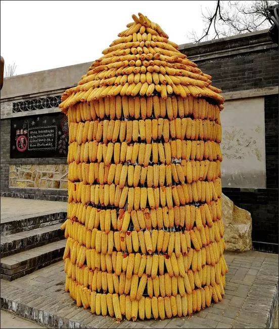 玉米脱粒工具老物件,给玉米脱粒后喘不过气怎么办