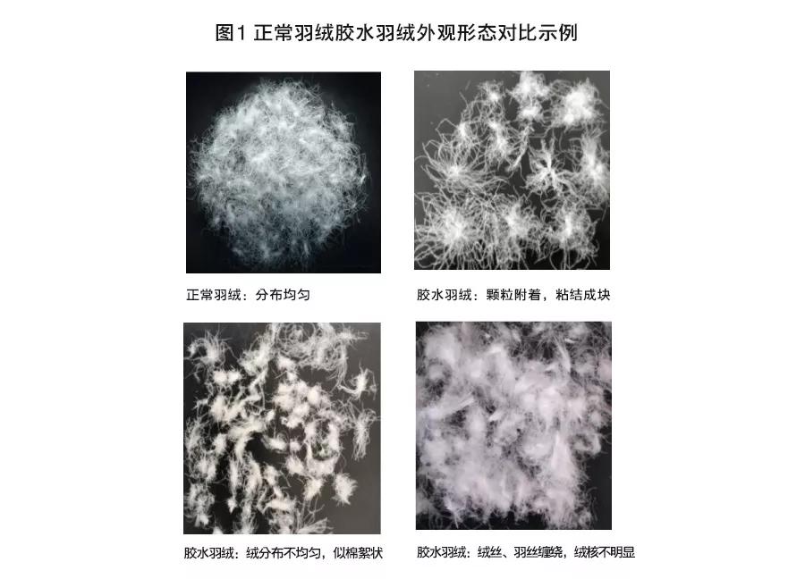 羽绒服防绒测试,保暖羽绒服官方测试