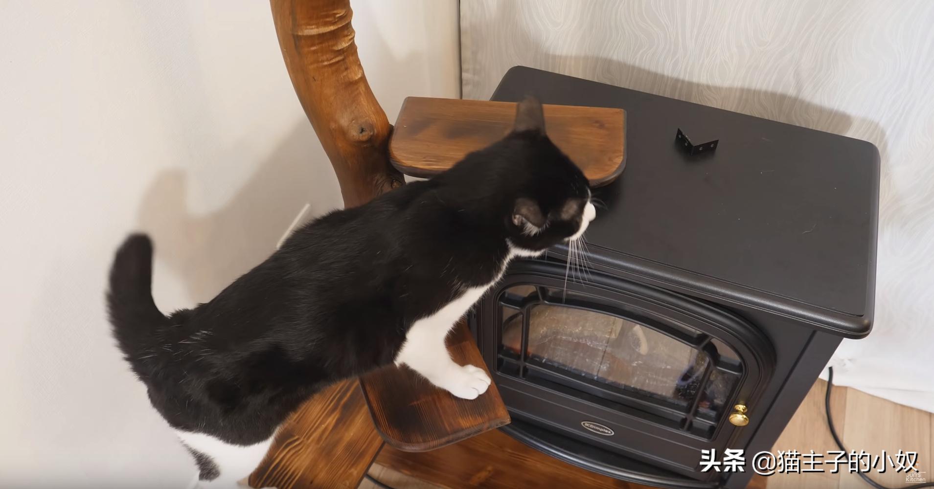 diy猫爬架大约需要什么材料,diy猫爬架材料清单