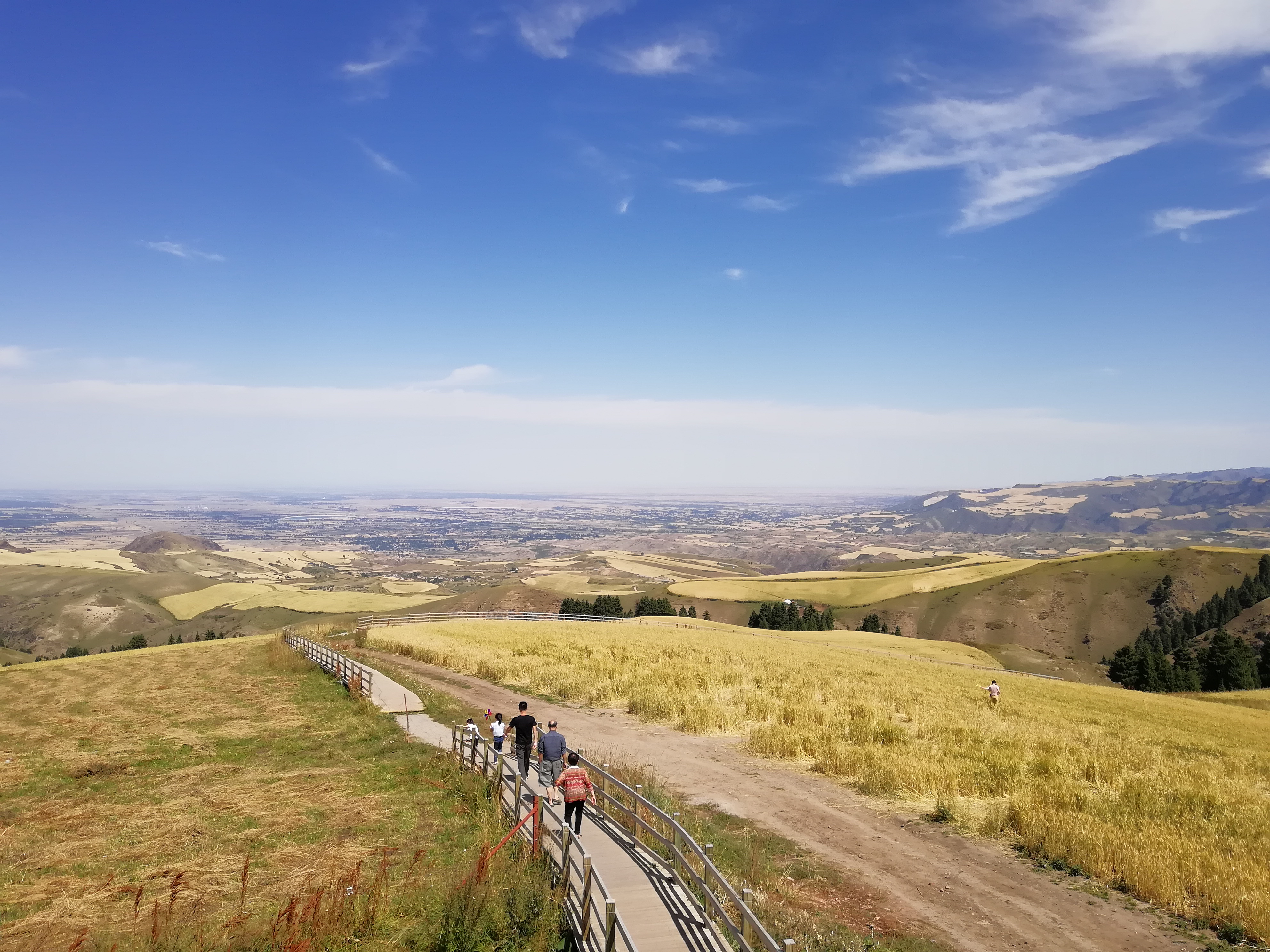 带狗自驾新疆注意事项,想带狗狗去新疆