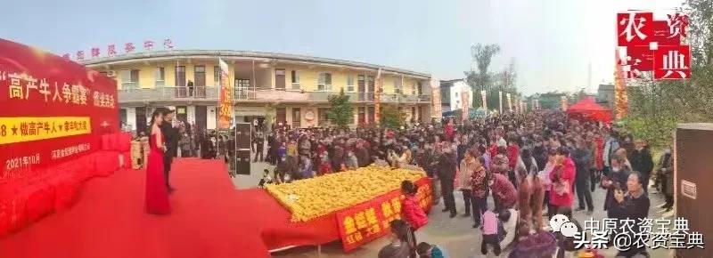 秋乐368亩产多少斤,秋乐368一亩地产量多少斤