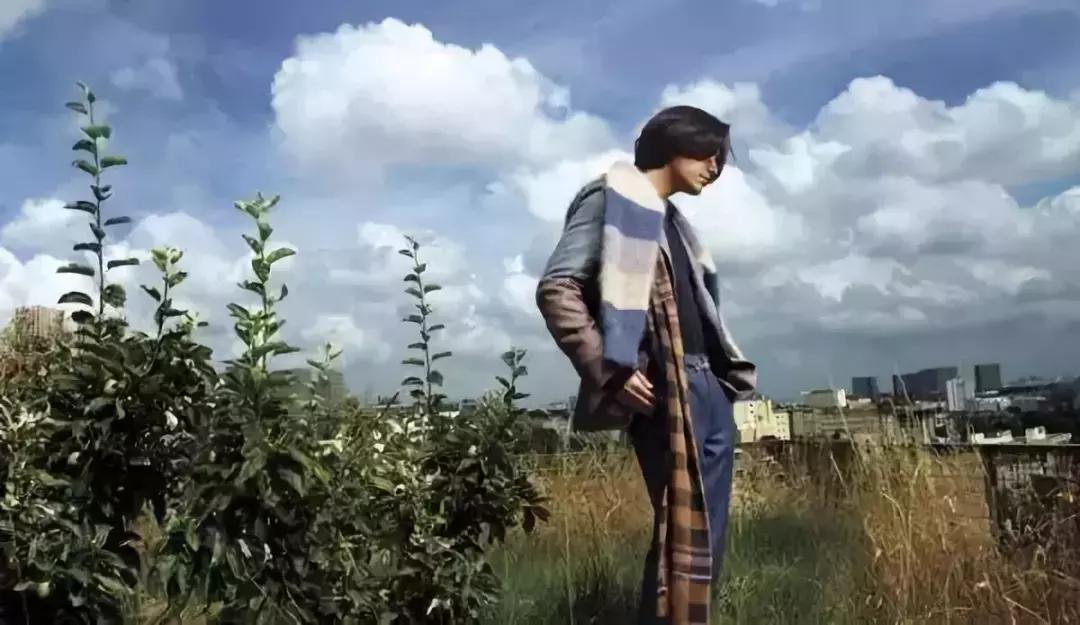 禅意的素食者,禅意的素食家陈坤