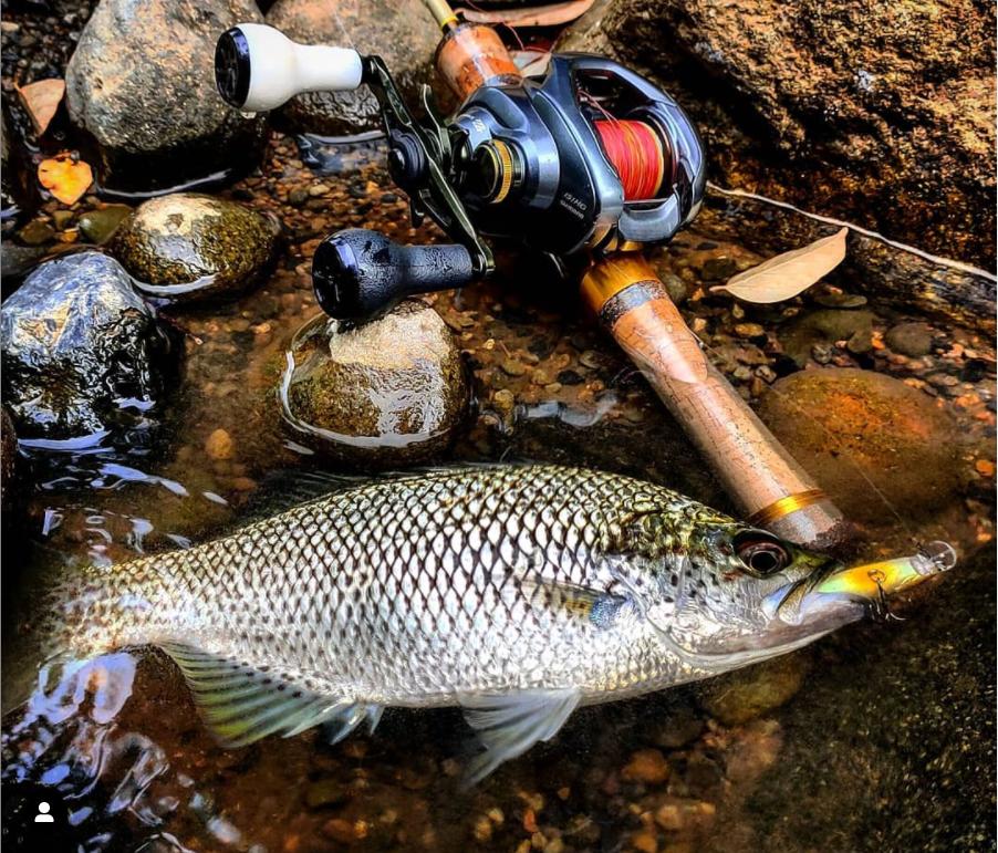 路亚新手用水滴还是纺车轮,路亚新人避坑指南鱼竿应该怎么选