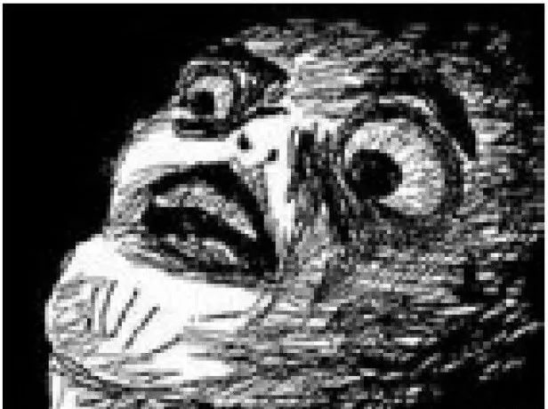 大金毛吞了一块抹布七天不吃东西,金毛吞了一个塑料球